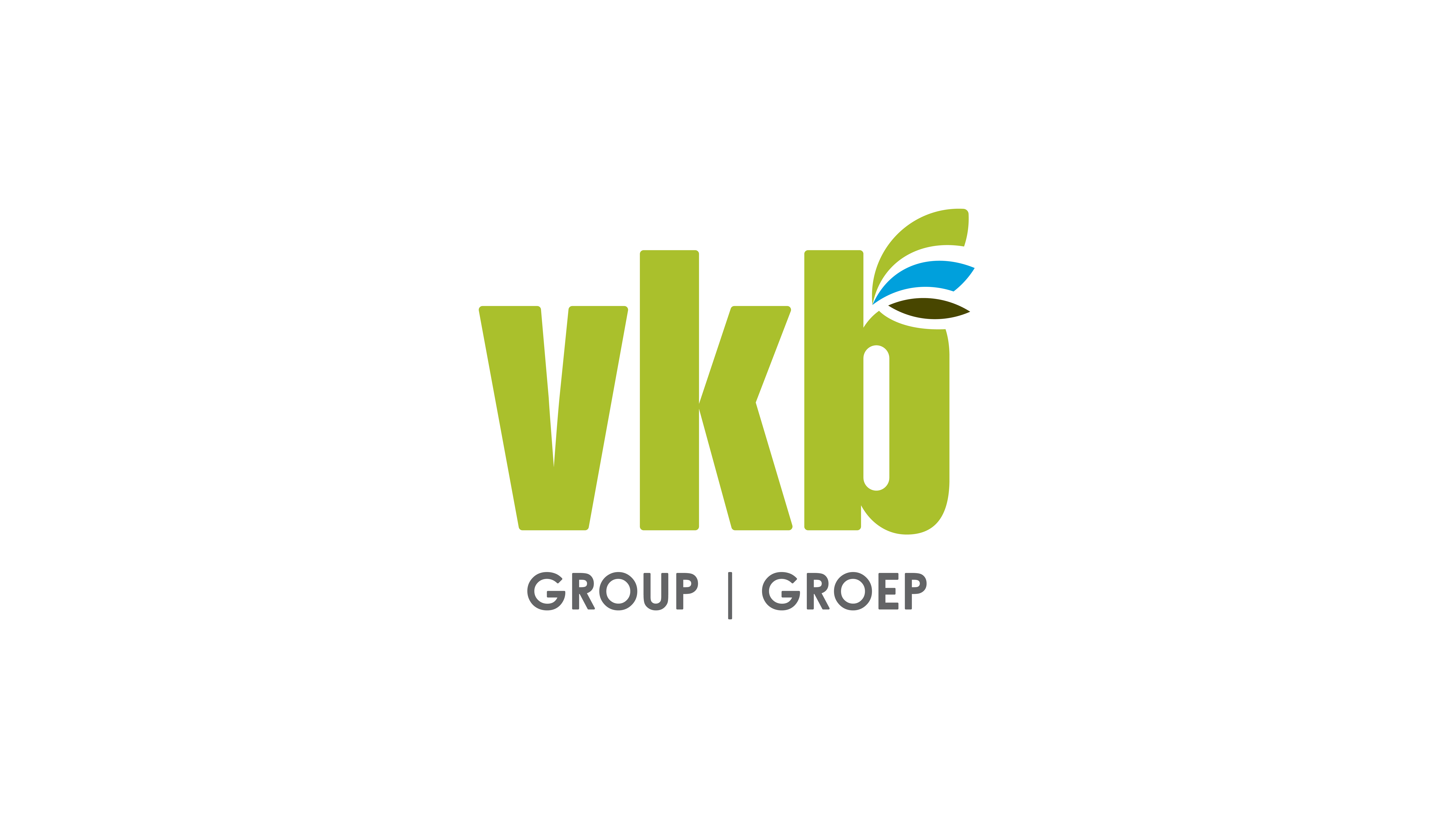 VKB Group