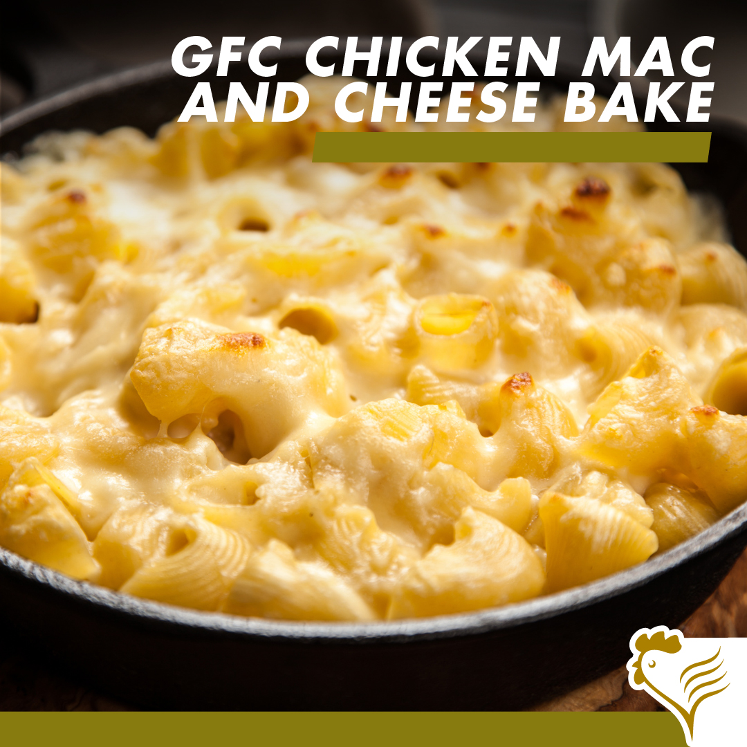 Chicken Macaroni Cheese Bake Recipe